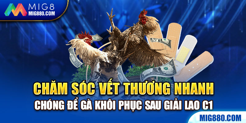 Chăm sóc vết thương nhanh chóng để gà khôi phục sau giải lao C1