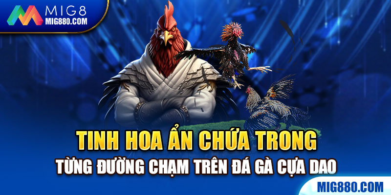 Ẩn chứa trong từng đường chạm trên đá gà cựa dao là tinh hoa của văn hóa và lịch sử dân tộc