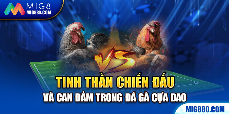 Thể hiện sự mãnh liệt của tinh thần chiến đấu và can đảm