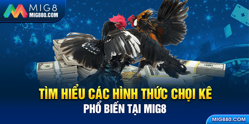 Tìm hiểu các hình thức chọi kê phổ biến tại Mig8